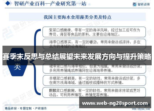 赛季末反思与总结展望未来发展方向与提升策略