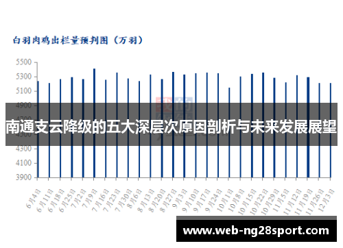 南通支云降级的五大深层次原因剖析与未来发展展望