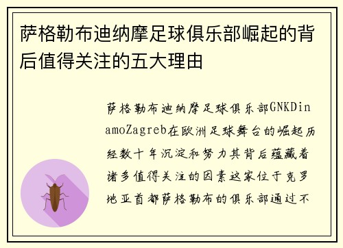 萨格勒布迪纳摩足球俱乐部崛起的背后值得关注的五大理由 萨格勒布迪纳摩足球俱乐部崛起的背后值得关注的五大理由